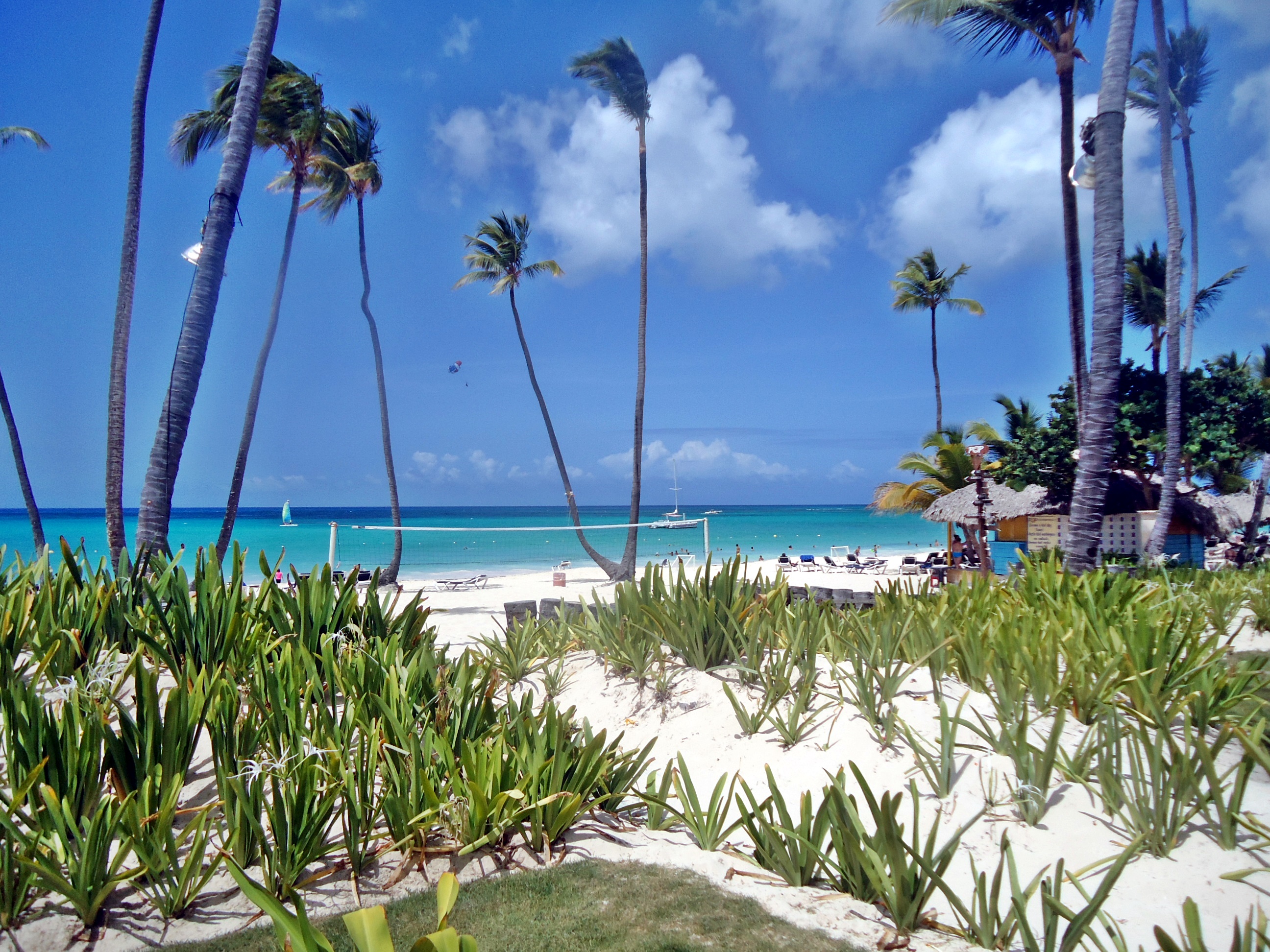 Sandy beach with a volleyball net and palm trees, with sailboats in the distance.