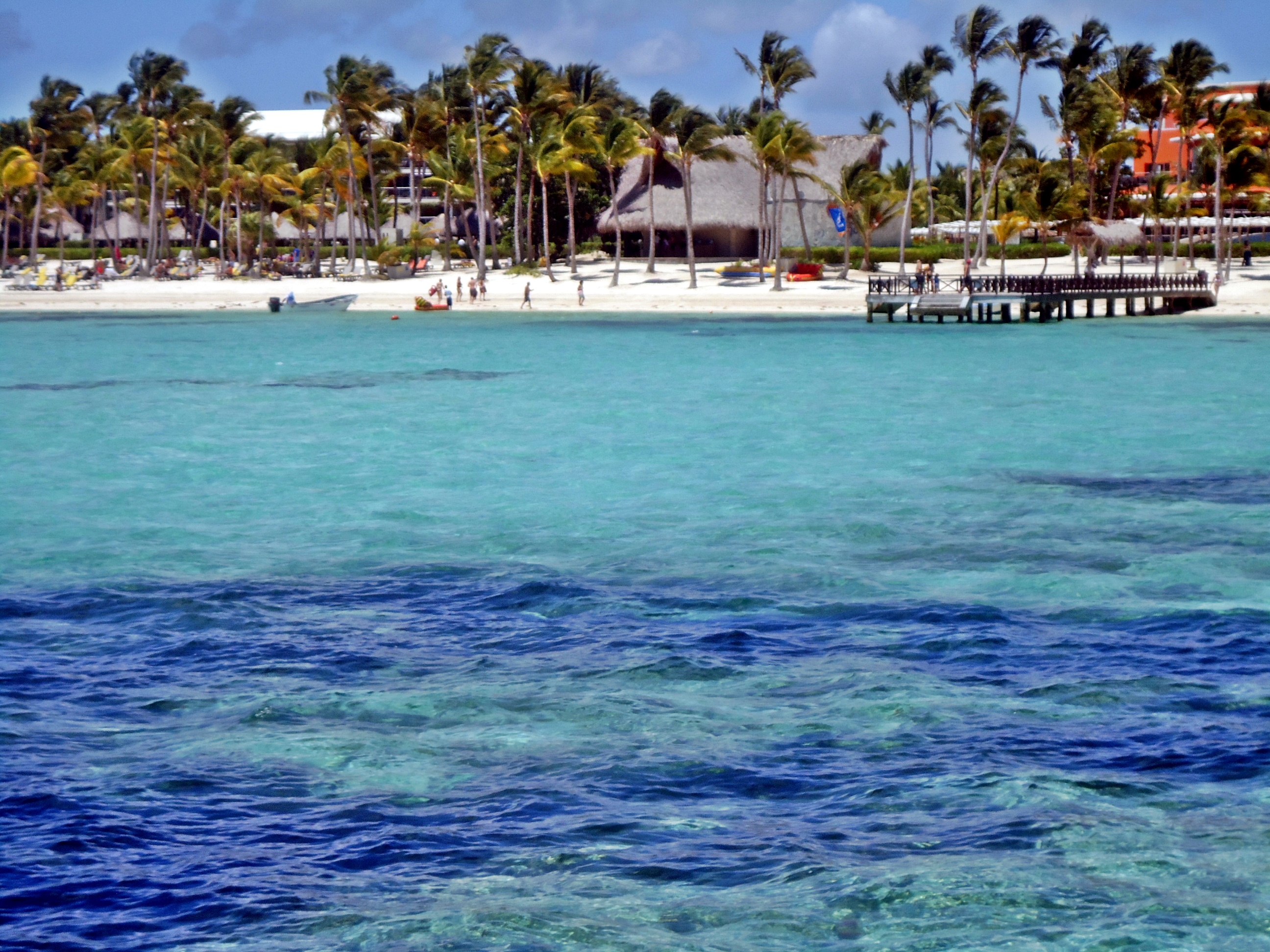 Punta Cana beach with turquoise water, white sand, and palm trees.
