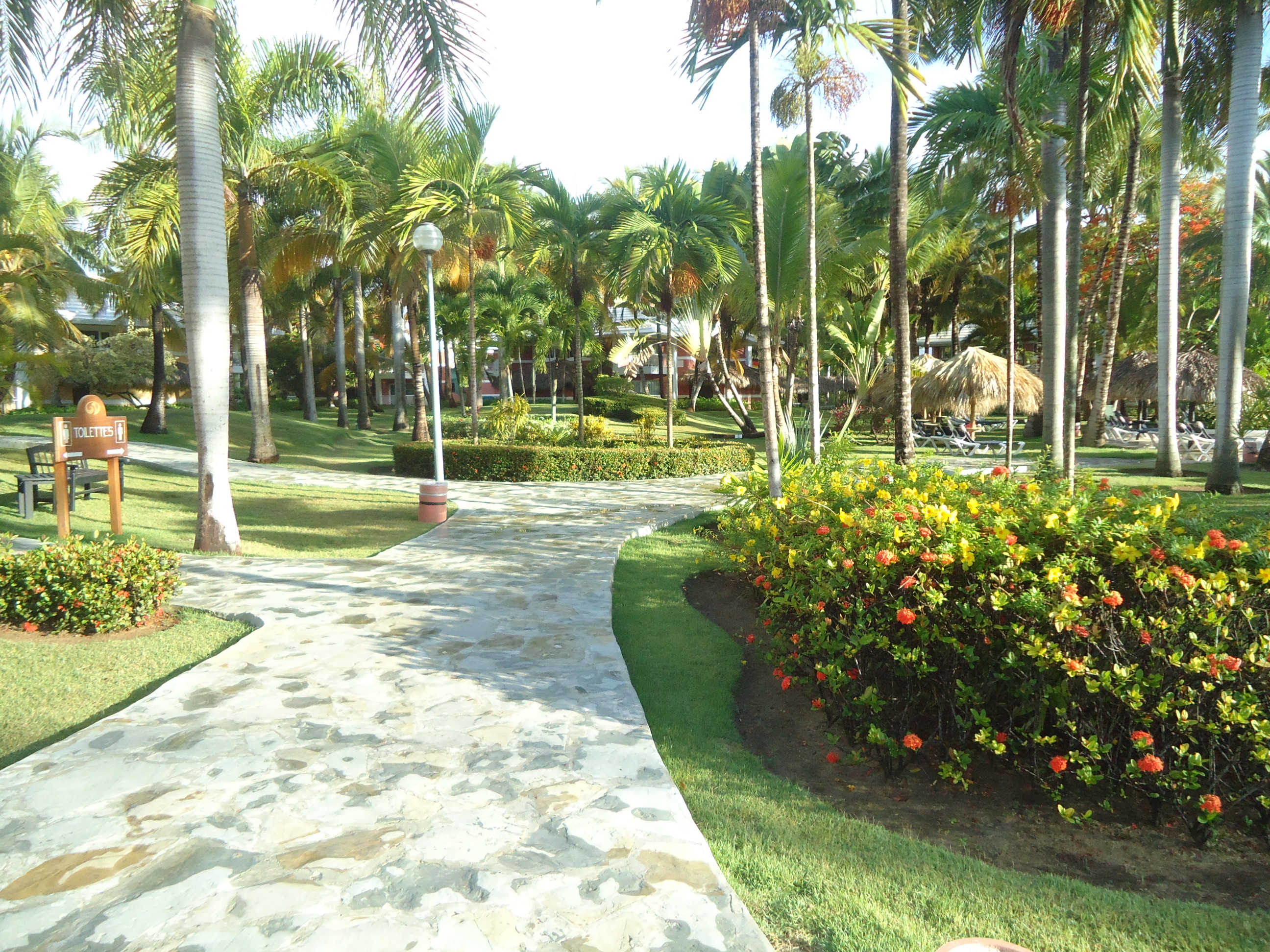 A walkway in the hotel park, with lush vegetation and palm trees.