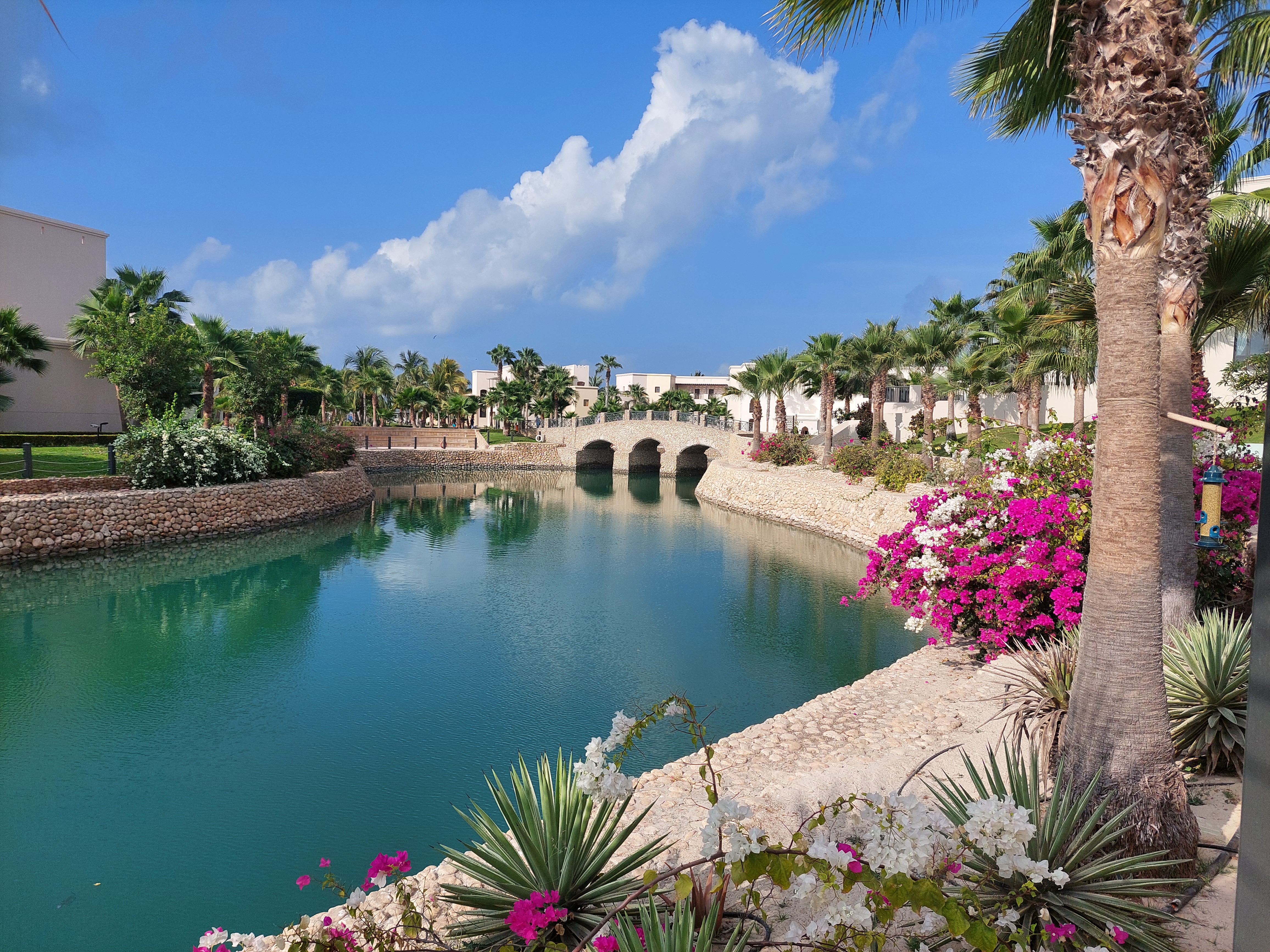 Palm-lined waterfront promenade with arched bridges and serene water.