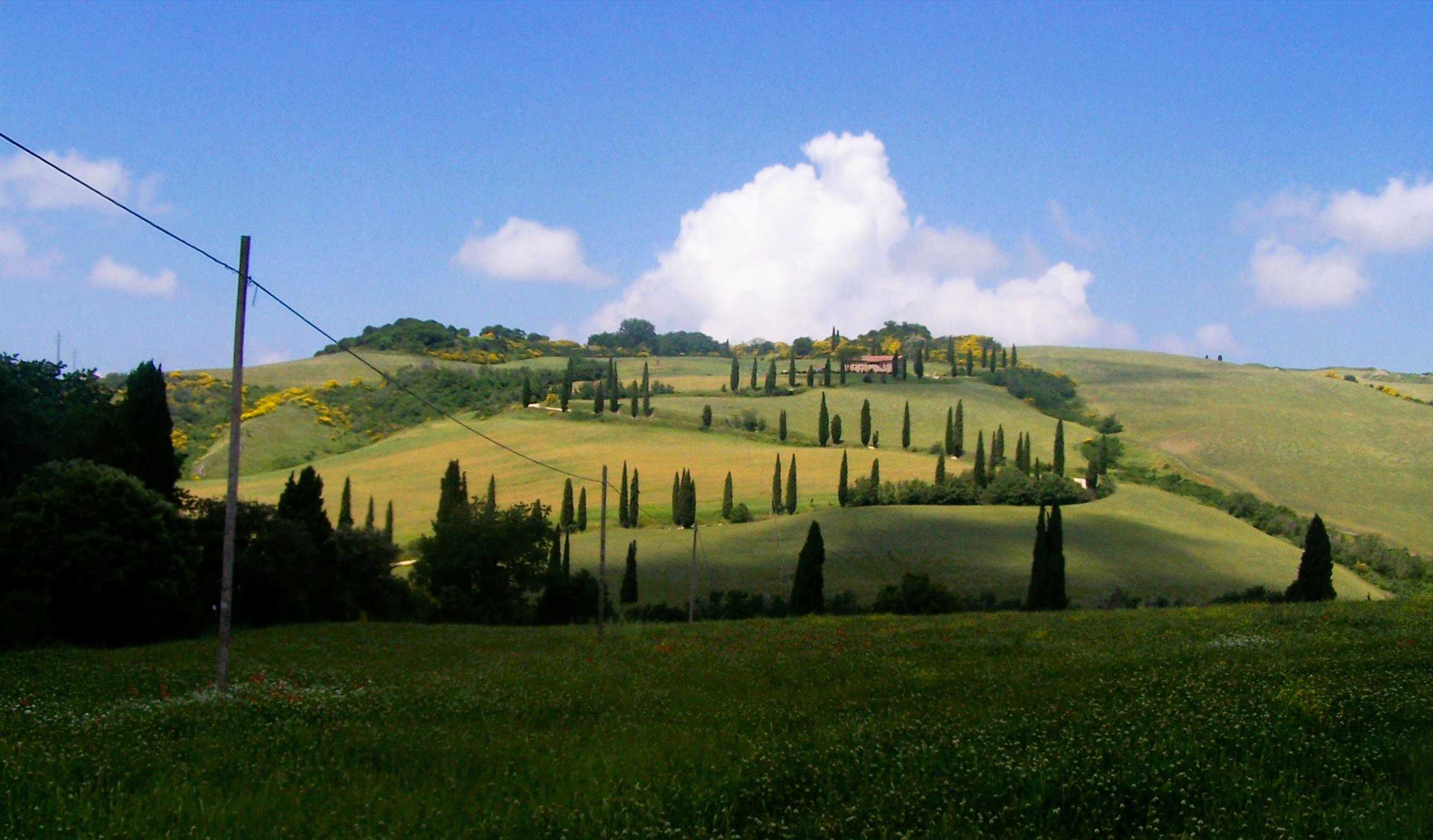Homesteads in the Tuscan countryside